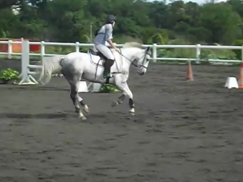 17.03.13 - club 3 GP - Anaïs et Rebelle