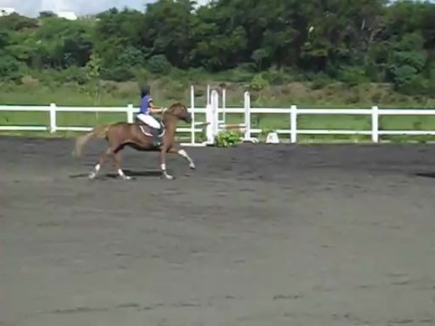 17.03.13 - club 3 GP - barrage Lou et Ile de voeuil