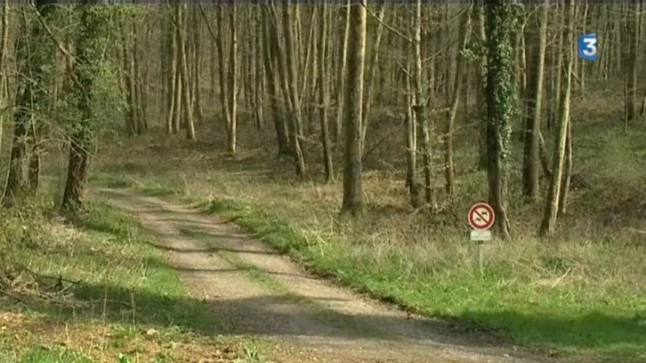 Assassinat d'Alexandre à Beauvoir en Lyons, un an après