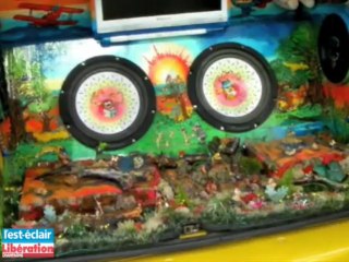 200 véhicules au show tuning