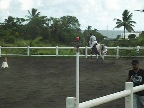 17.03.13 - club 2 GP - Margaux et Sexpistol