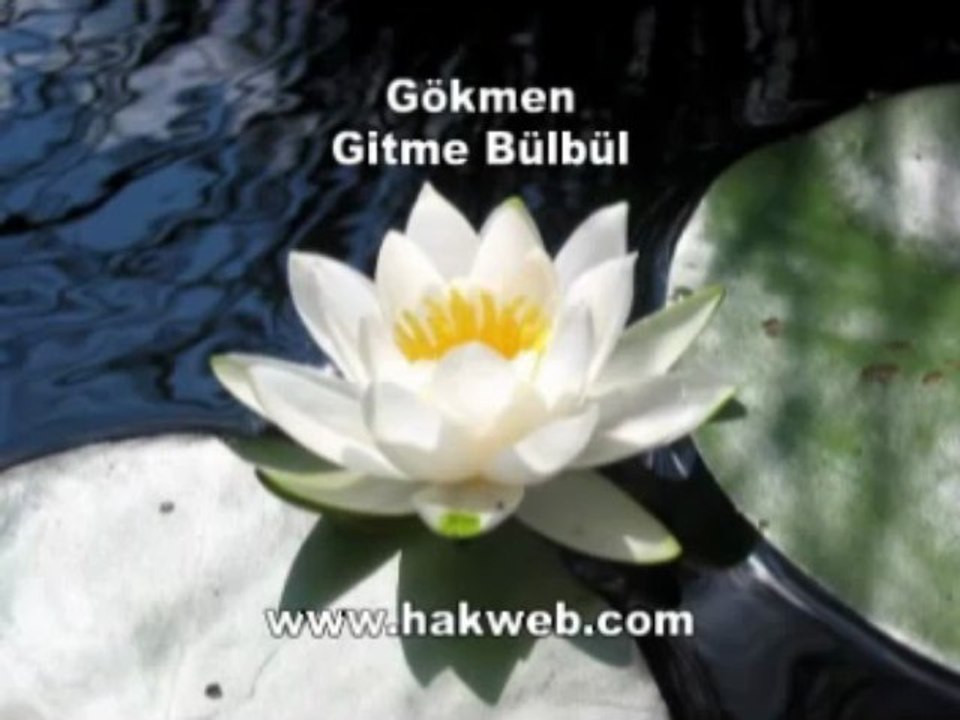 Gökmen - Gitme Bülbül