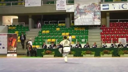 Vinn Lau Chang Quan champ de France mars 2013 Vichy