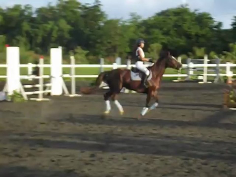 17.03.13 - club 1 GP - Céline et Olbie doll