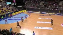 Le Chambérien Damir Bicanic réalise un triple contact- passe décisive lors de la 18e journée de D1 de handball face à Cesson-Rennes