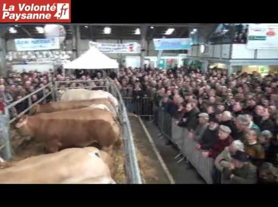 Bœufs de Pâques 2013 : enchères élevées à Baraqueville (Aveyron)