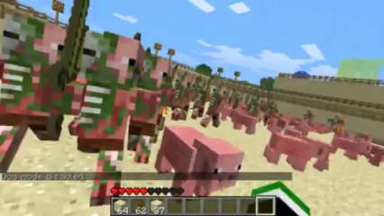 Want to be on my Minecraft Server? INFO VIDEO