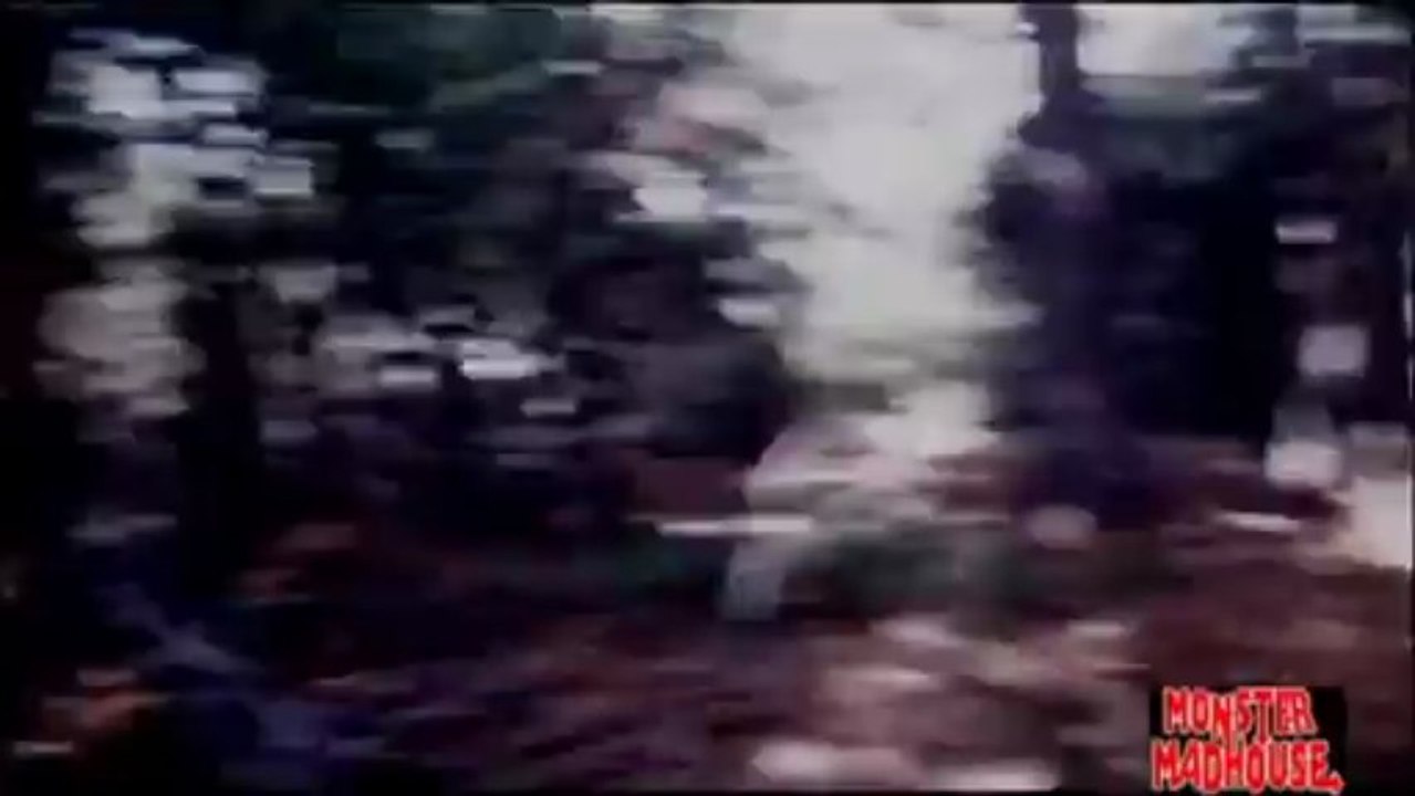 Bigfoot Pt 1
