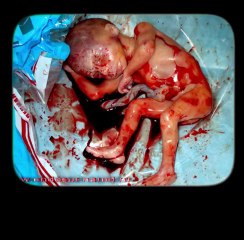 СТРАННИК СТК - ГОСПОДУ ПОМОЛИМСЯ (18+)