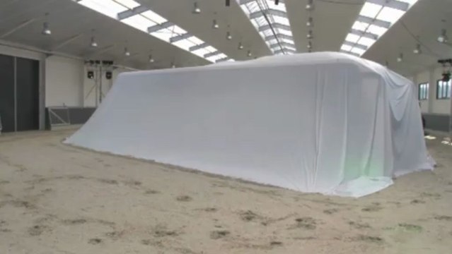 Gallopieren die Fohlen im neuen Bus nach Europa?