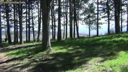 Tovoion News Channel ΓΑΛΗΝΗ 19-3-2013