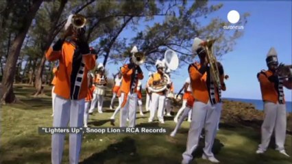 Rasta bites Dogg who turns into Lion