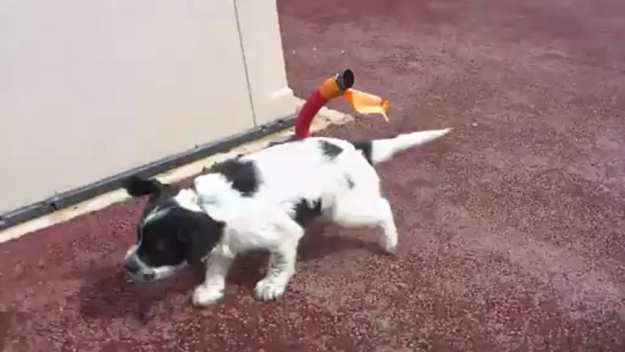 Vidéo du 19 mars 2013 - 3