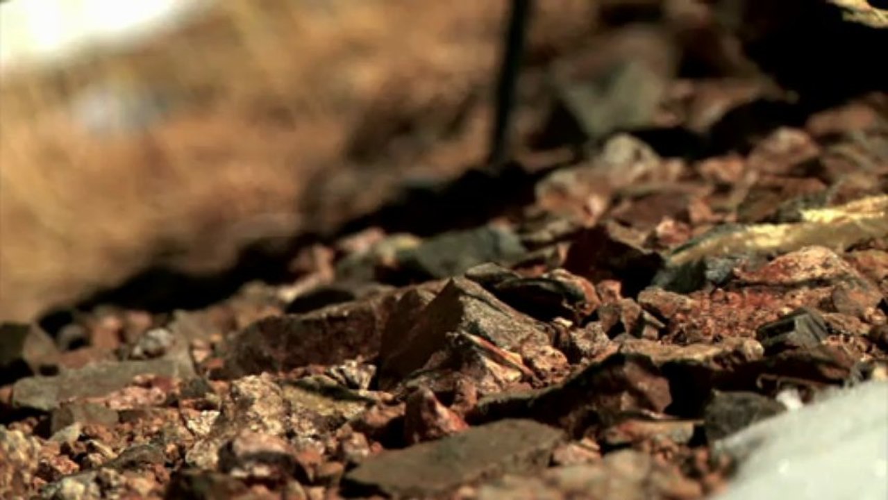 Solitaire A Back Country Skiing Snowboarding and Telemark Film