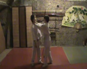 Gyaku hanmi ryote kubi shime to oshi