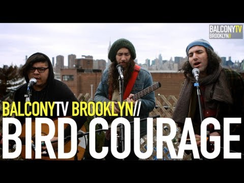 BIRD COURAGE - CONSTELLATION (BalconyTV)