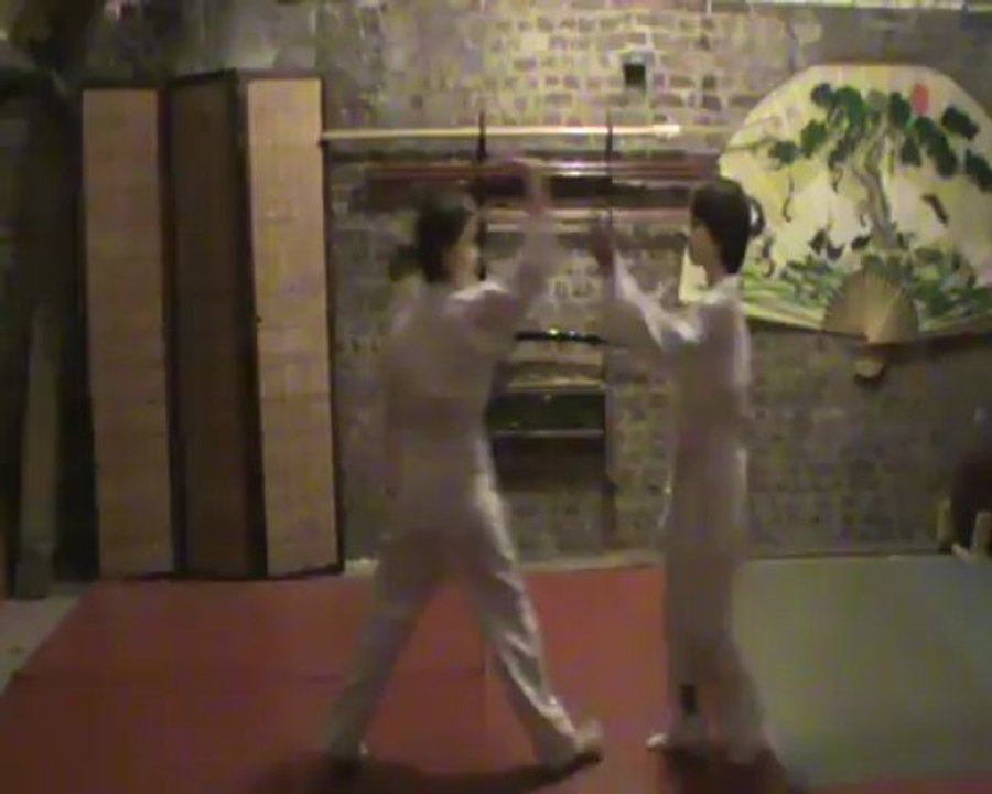 Ai hanmi atama oshi : waki gatame