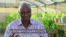 Research4Life and its Impact on Agronomist in Burkina Faso