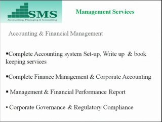 Business plan Modeling and Marketing Strategy for Startup Business.wmv