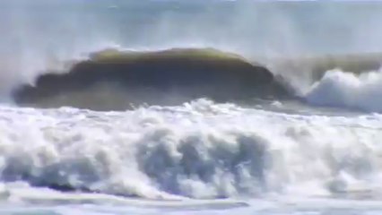 Sandy Britches Dave Rastovich