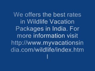 Get Attractive Offer in Wildlife Vacation Packages in India