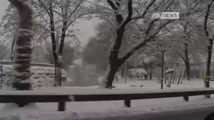 L'APPELLO DEI VOLONTARI