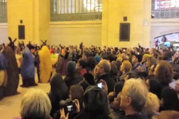 Grand Central'da otlayan atlar