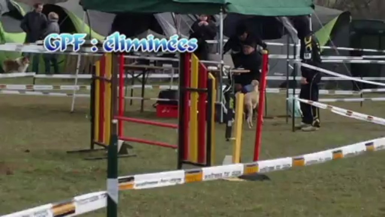 Gi-Linn - 1er concours - Jarny 24 Mars 2013