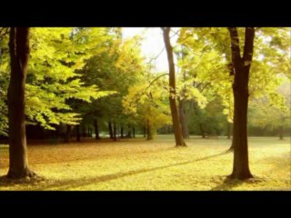 "ΝΥΝ ΑΙ ΔΥΝΑΜΕΙΣ" ΠΡΟΗΓΙΑΣΜΕΝΗΣ