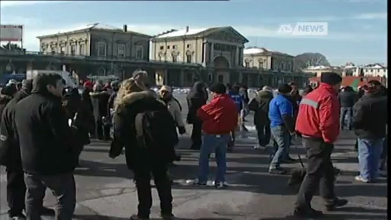 CAVALLI IN PRATO PER PROTESTA