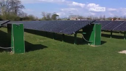 IL FRIULI PUNTA SUL GREEN