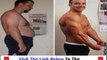 Burn The Fat Feed The Muscle Pdf File + Tom Venuto Burn The Fat Feed The Muscle Review