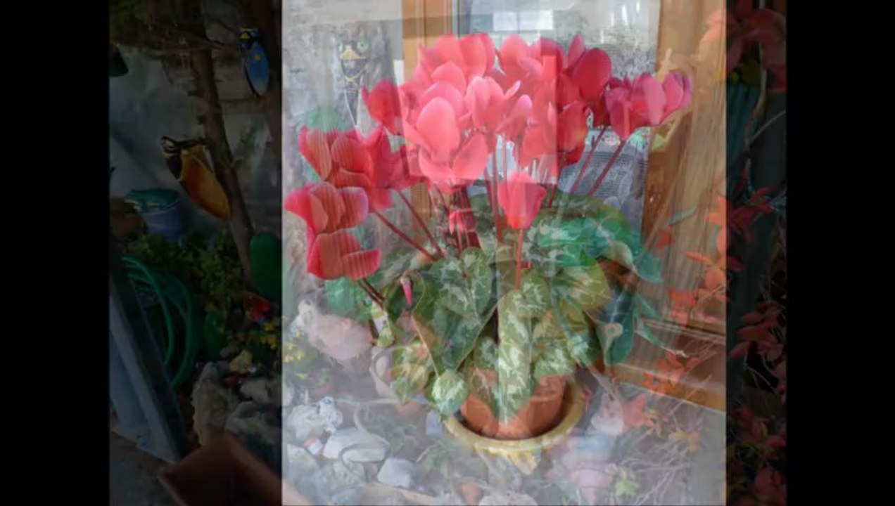 mars 20, 2013 Le printemps est arrivé