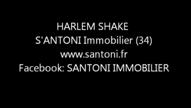 HARLEM SHAKE SANTONI 04 dv