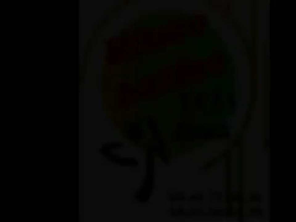 Teaser Ritmo Latino:évènement du 20 avril, place Clémenceau à Pau