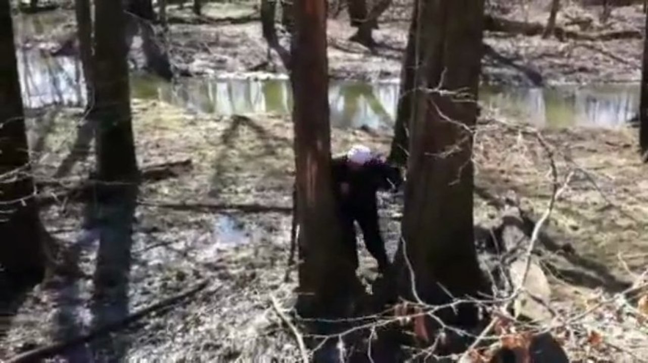 Cet homme est un tueur d'arbre