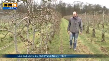 Quelle dangerosité pour les pesticides? - 20/03