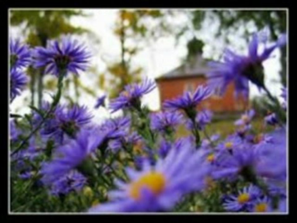 "ΥΜΝΟΙ  ΜΕΓΑΛΟΥ  ΑΠΟΔΕΙΠΝΟΥ"  ΧΟΡΩΔΙΑ ΣΙΜΩΝΟΣ ΠΕΤΡΑ ΗΧΟΣ ΠΛ. Β΄