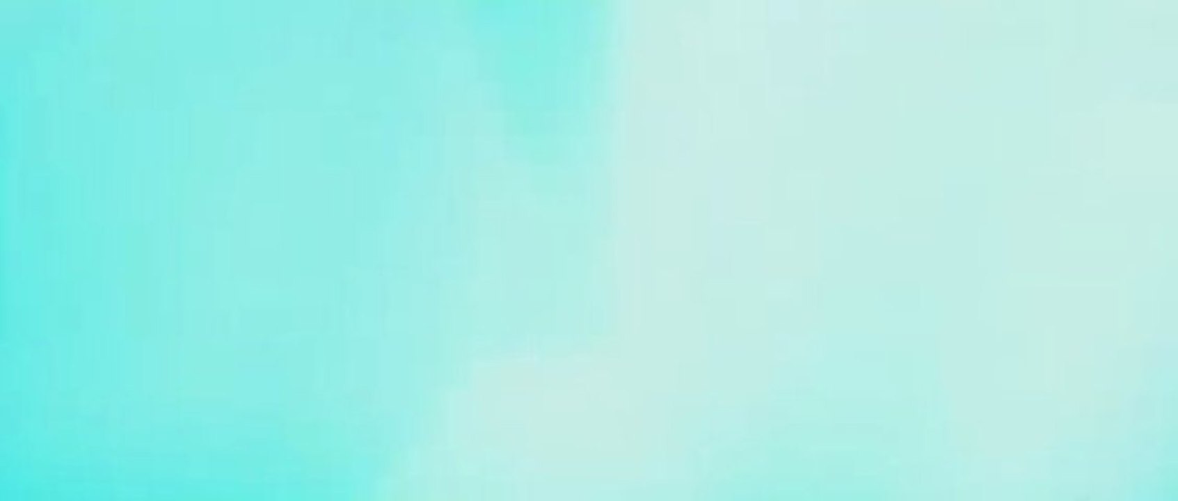 라이브바카라◐┓┓yes6666.NeT┏┏◑라이브바카라