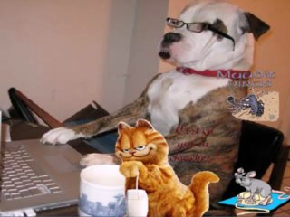 Y'a mon PC qui plante..