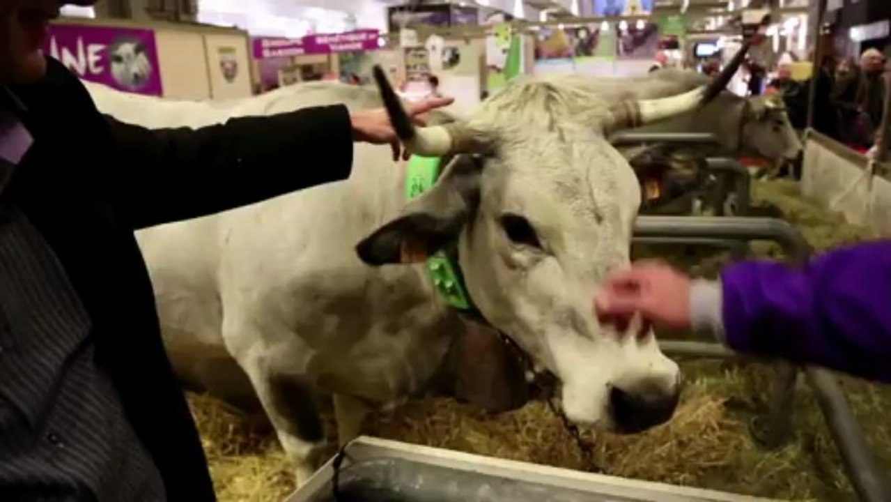 EELV au Salon de l'agriculture 2013, avec Pascal Durand et José Bové