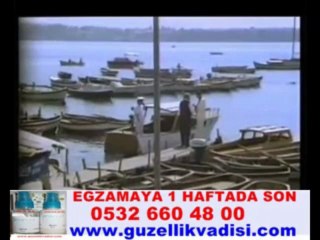 DÜNYA-YILMAZ GÜNEY-FİLİZ AKIN