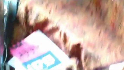 The Ultimate David Bowie The Next Day Unboxing Video!!