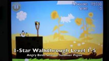 Angry Birds Seasons Summer Pignic Level 1-5 3-Star Walkthrough iPhone/iPod/iPad