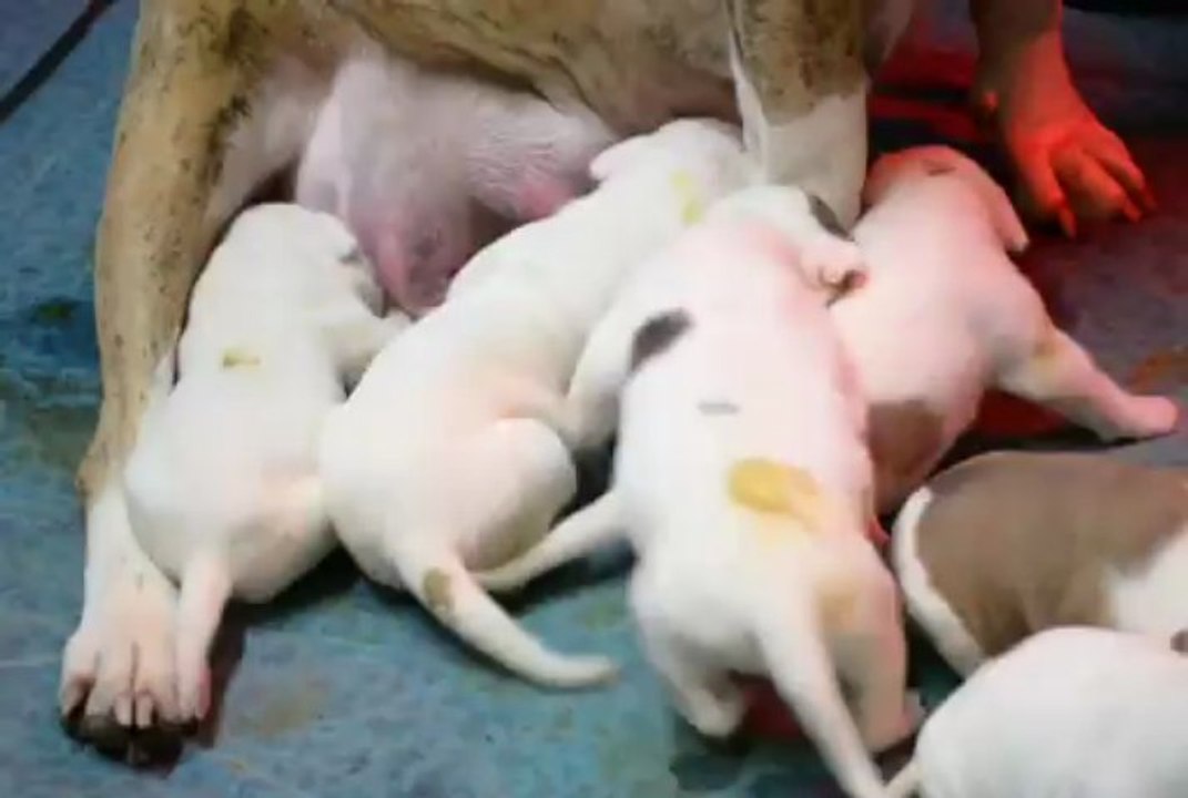 Dune et ces bébés...