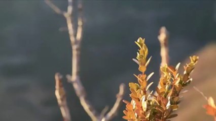 Coupe Du Monde De Bloc 2013 - Teaser