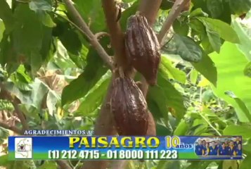 20 de marzo de 2013 Tame- Arauca segunda parte