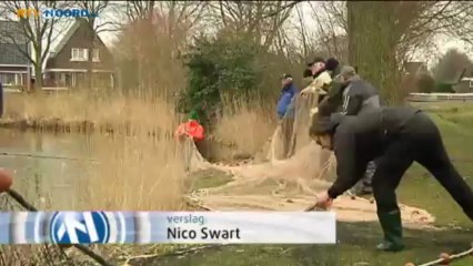 Vissen uit vijver verpleeghuis verhuisd - RTV Noord