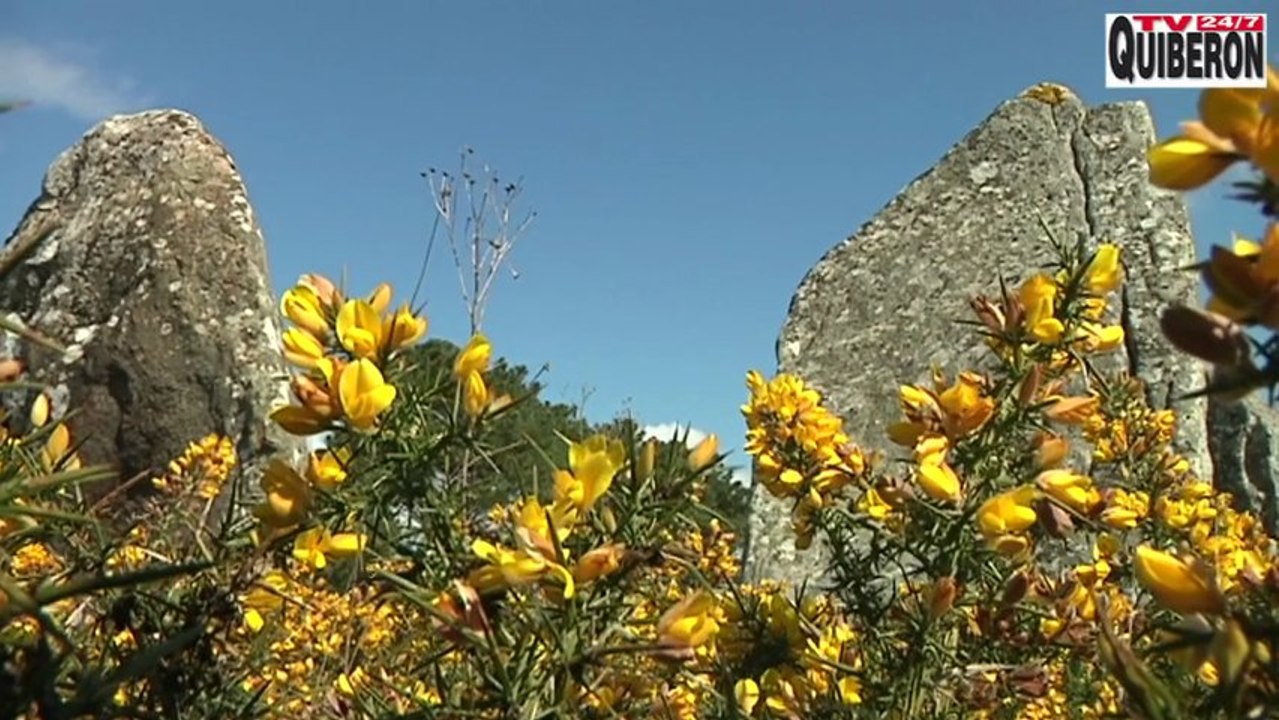 Carnac   |   Le printemps des Menhirs - Carnac  Télé