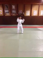 Harlem Shark judo marly la ville